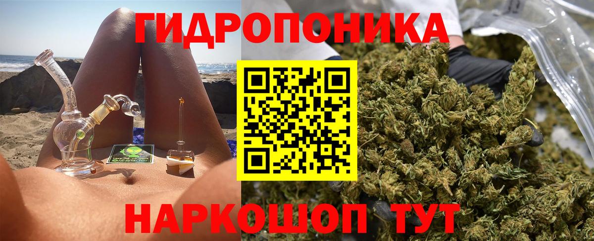 Каннабис SATIVA & INDICA Апатиты